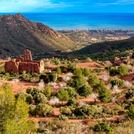 Desierto Las Palmas