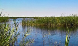 Parque natural Prat de Cabanes