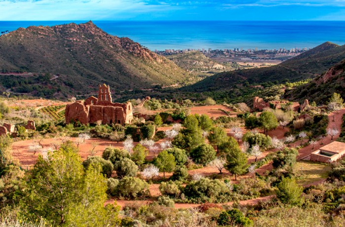 Desierto Las Palmas