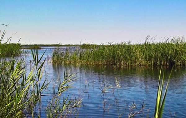 Parque natural Prat de Cabanes