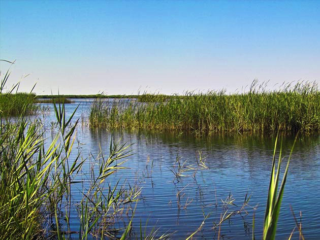 Prat de Cabanes Natural Park